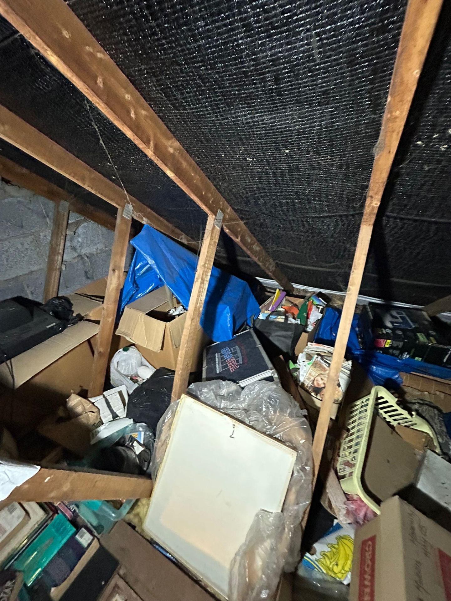 Hoarders clearance project by Marsh Environmental — photo 4