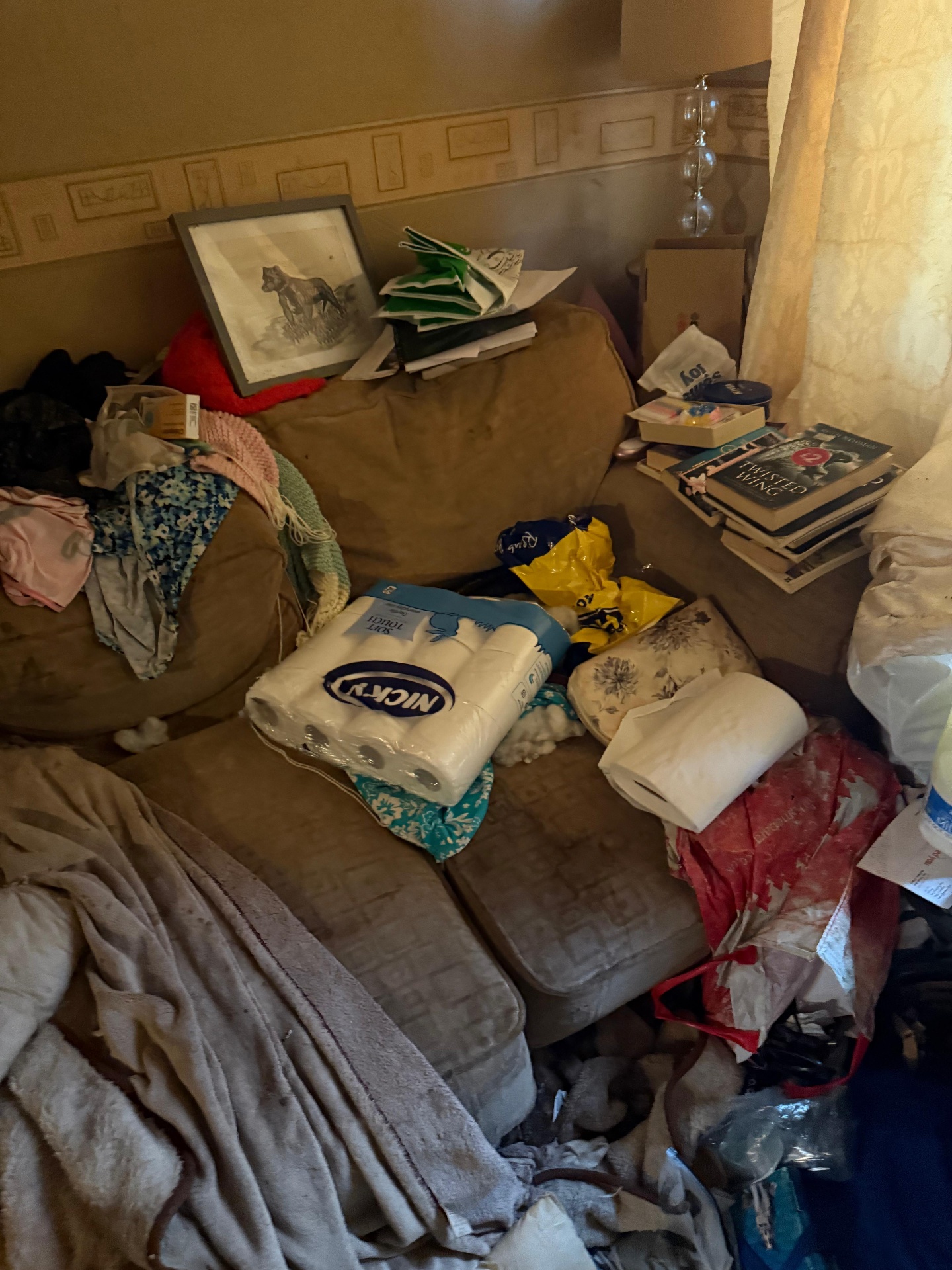 Hoarders clearance project by Marsh Environmental — photo 16