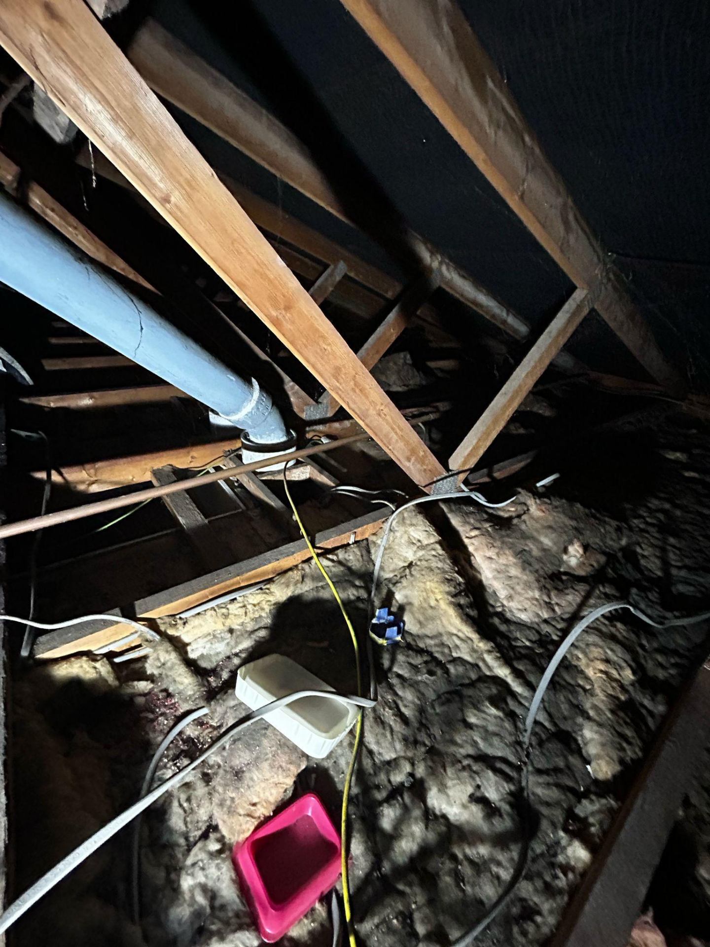 Attic Clearance clearance project by Marsh Environmental — photo 11