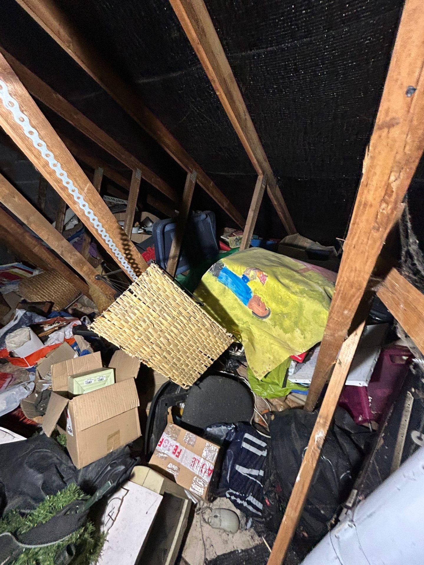Hoarders clearance project by Marsh Environmental — photo 6