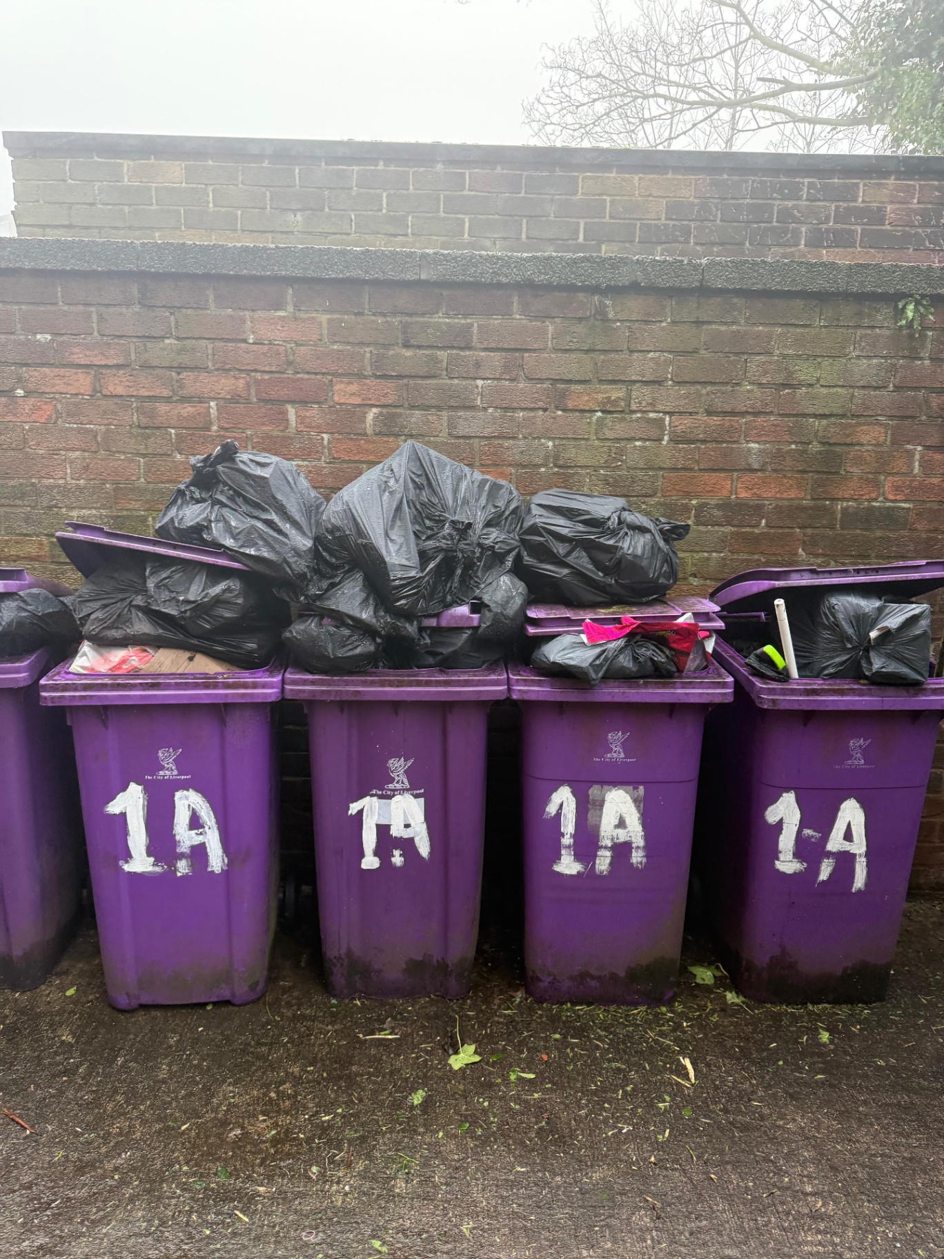 Fly-Tipping clearance project by Marsh Environmental — photo 10