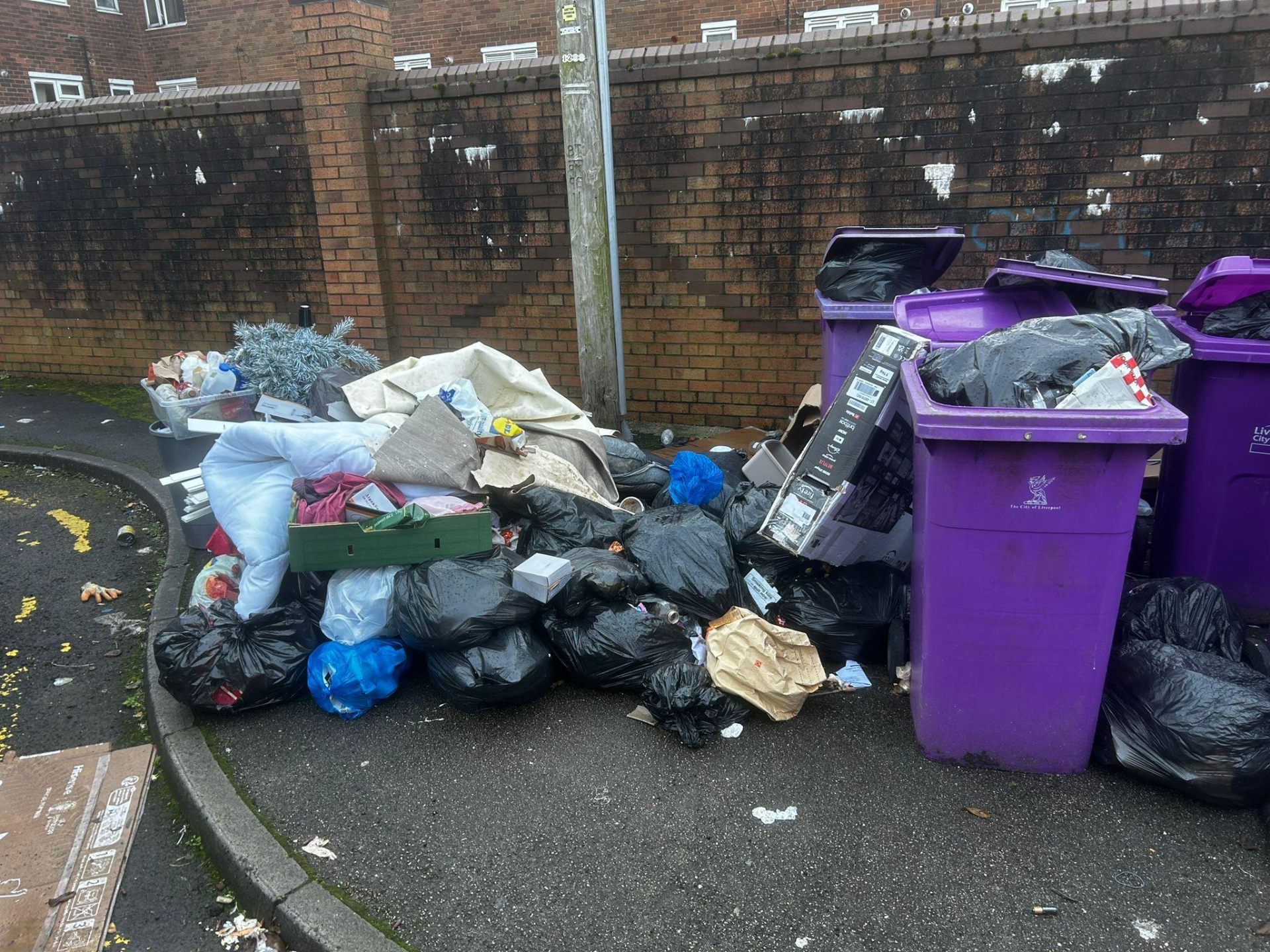 Fly-Tipping clearance project by Marsh Environmental — photo 7