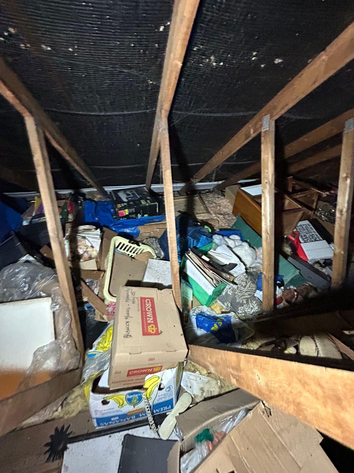 Hoarders clearance project by Marsh Environmental — photo 8
