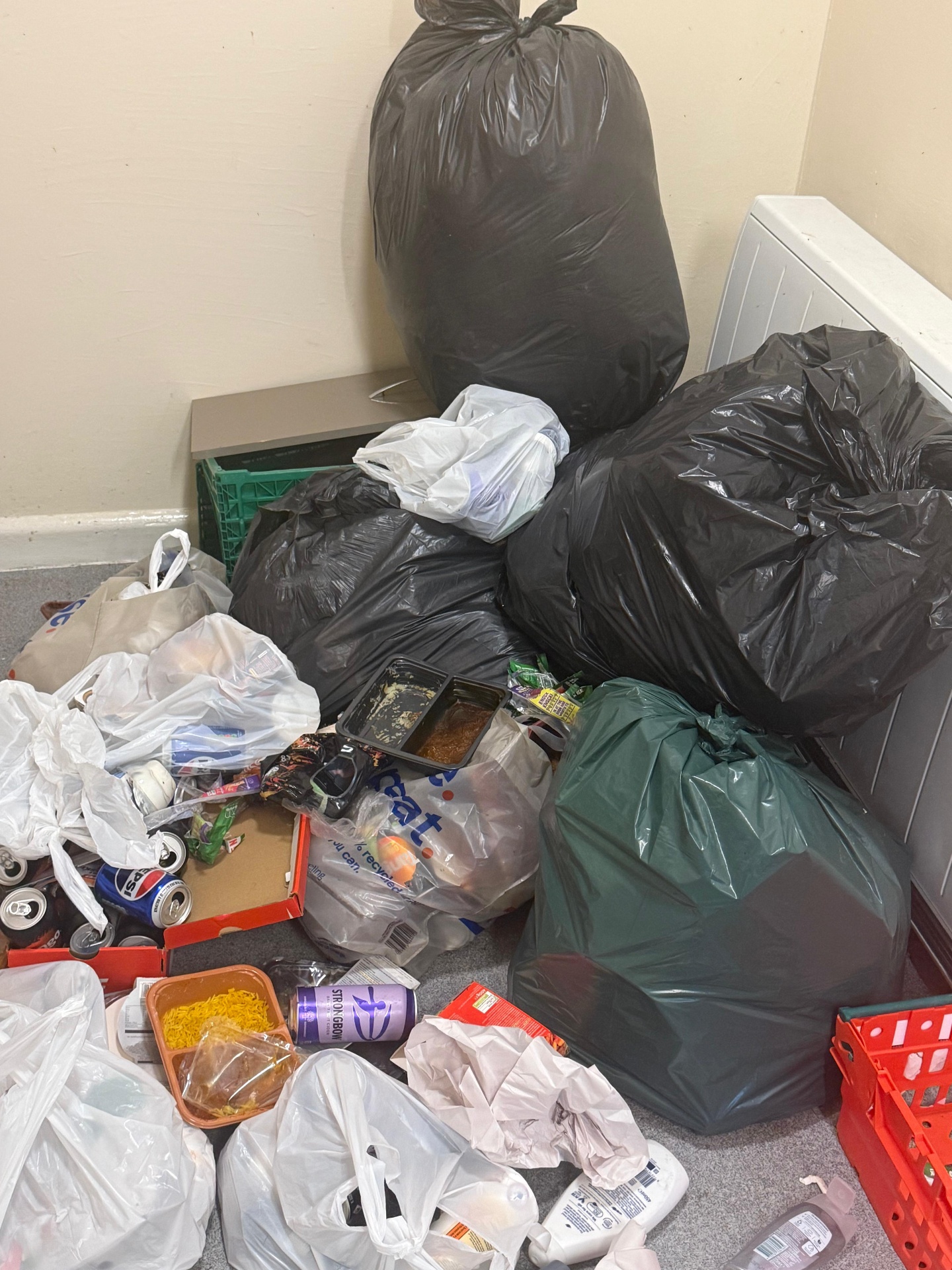 Hoarders clearance project by Marsh Environmental — photo 13