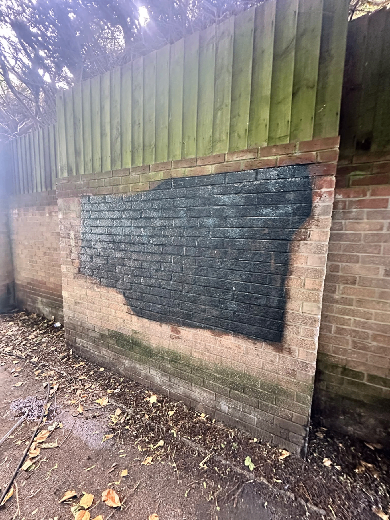 Before cleaning: black paint covering a brick boundary wall beneath a timber fence