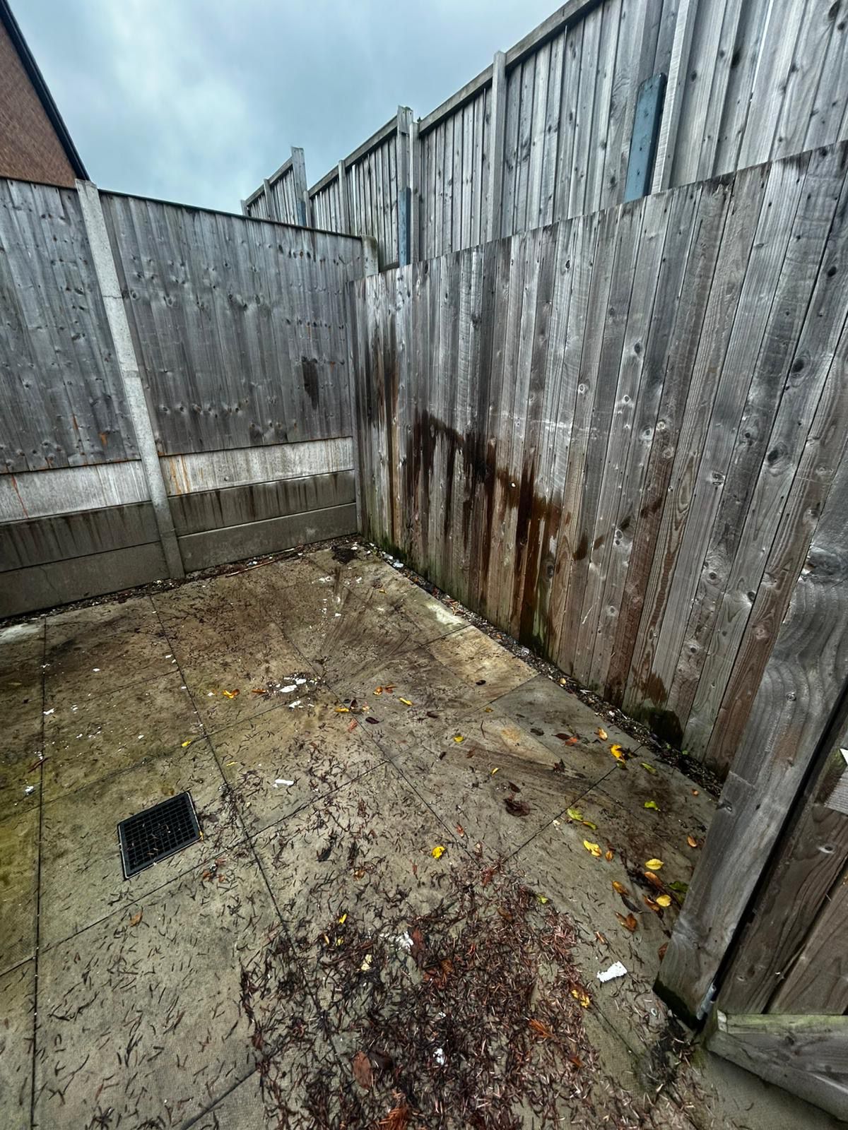 Bio-Hazard clearance project by Marsh Environmental — photo 1