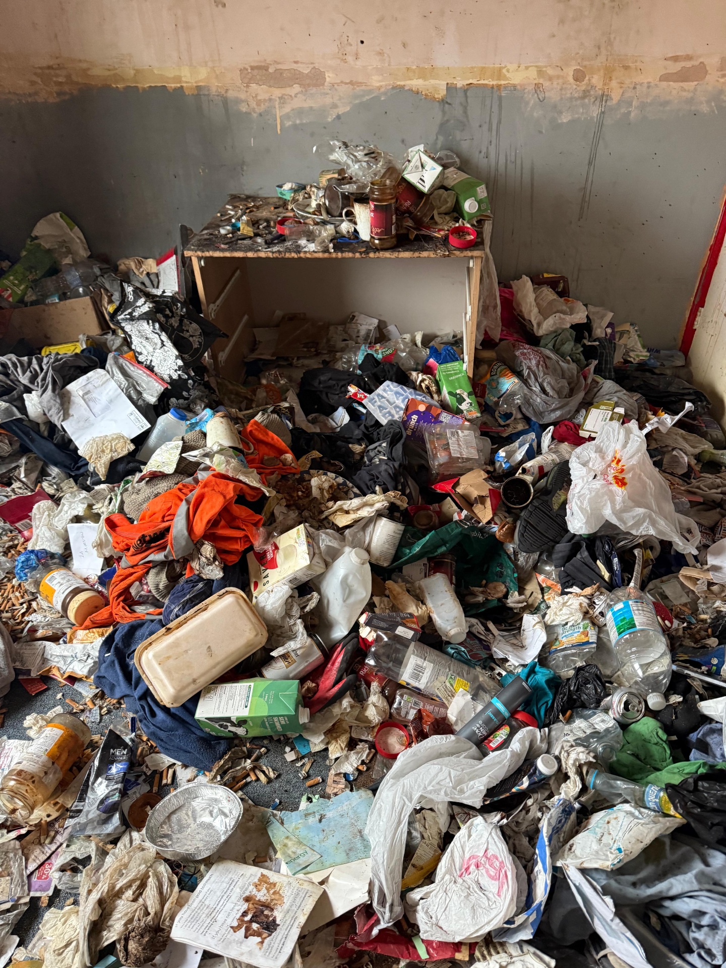 Hoarders clearance project by Marsh Environmental — photo 11