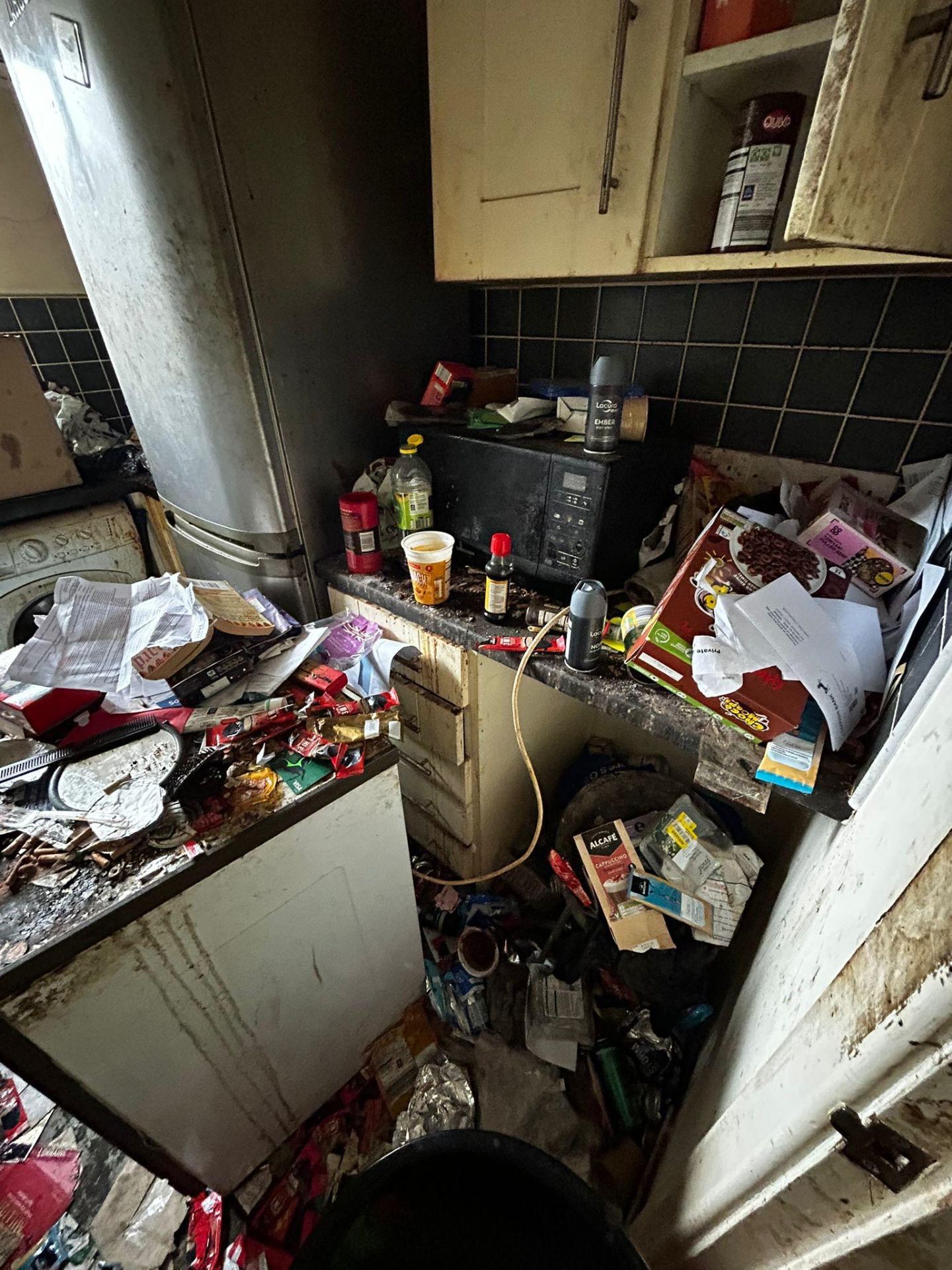 Hoarders clearance project by Marsh Environmental — photo 10
