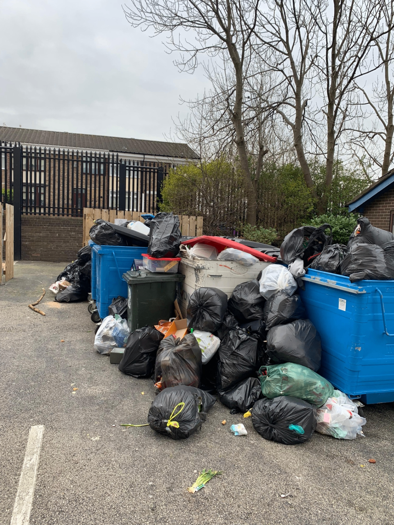 Overflowing commercial waste bins requiring clearance