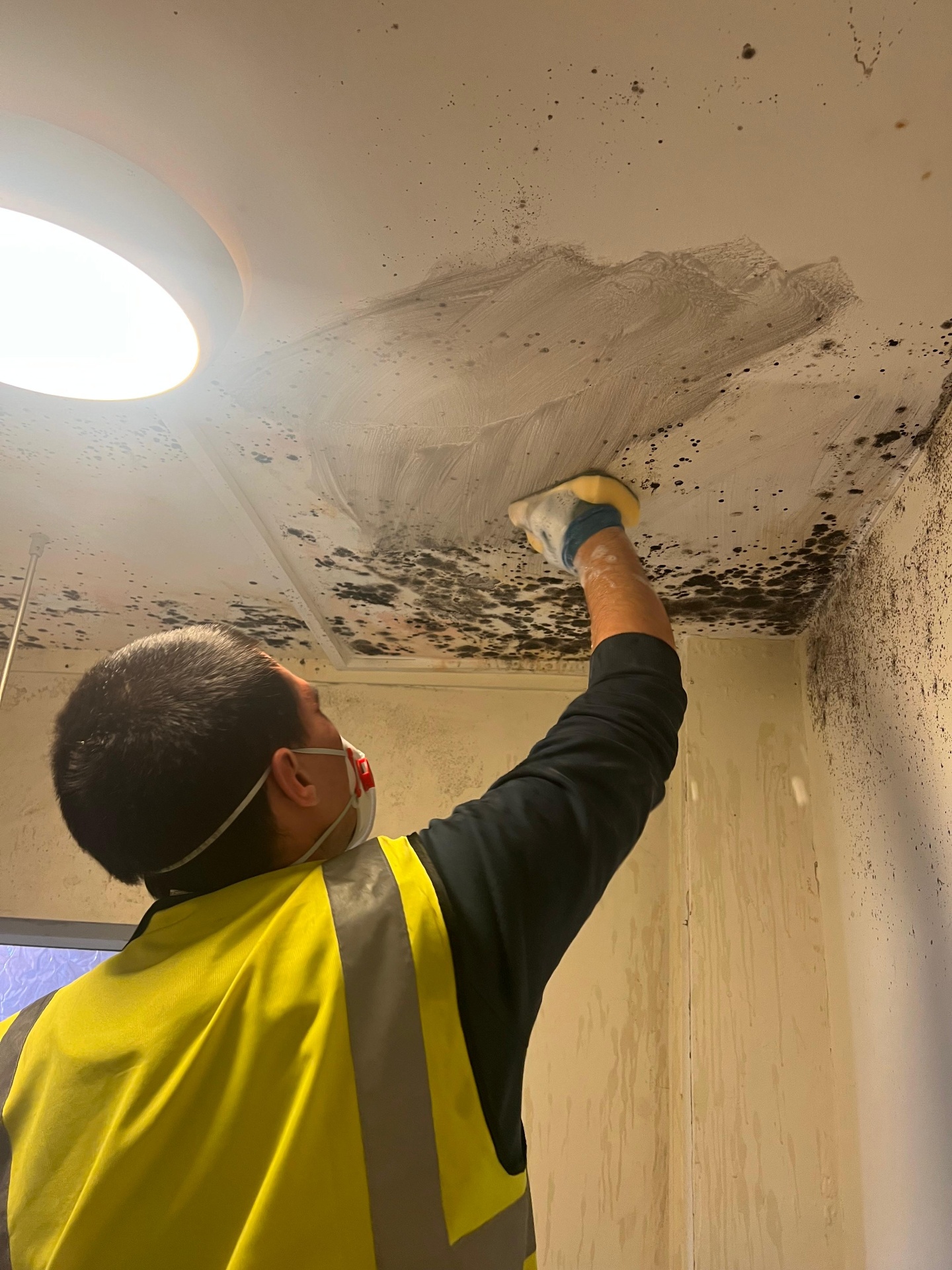 Attic Clearance clearance project by Marsh Environmental — photo 2