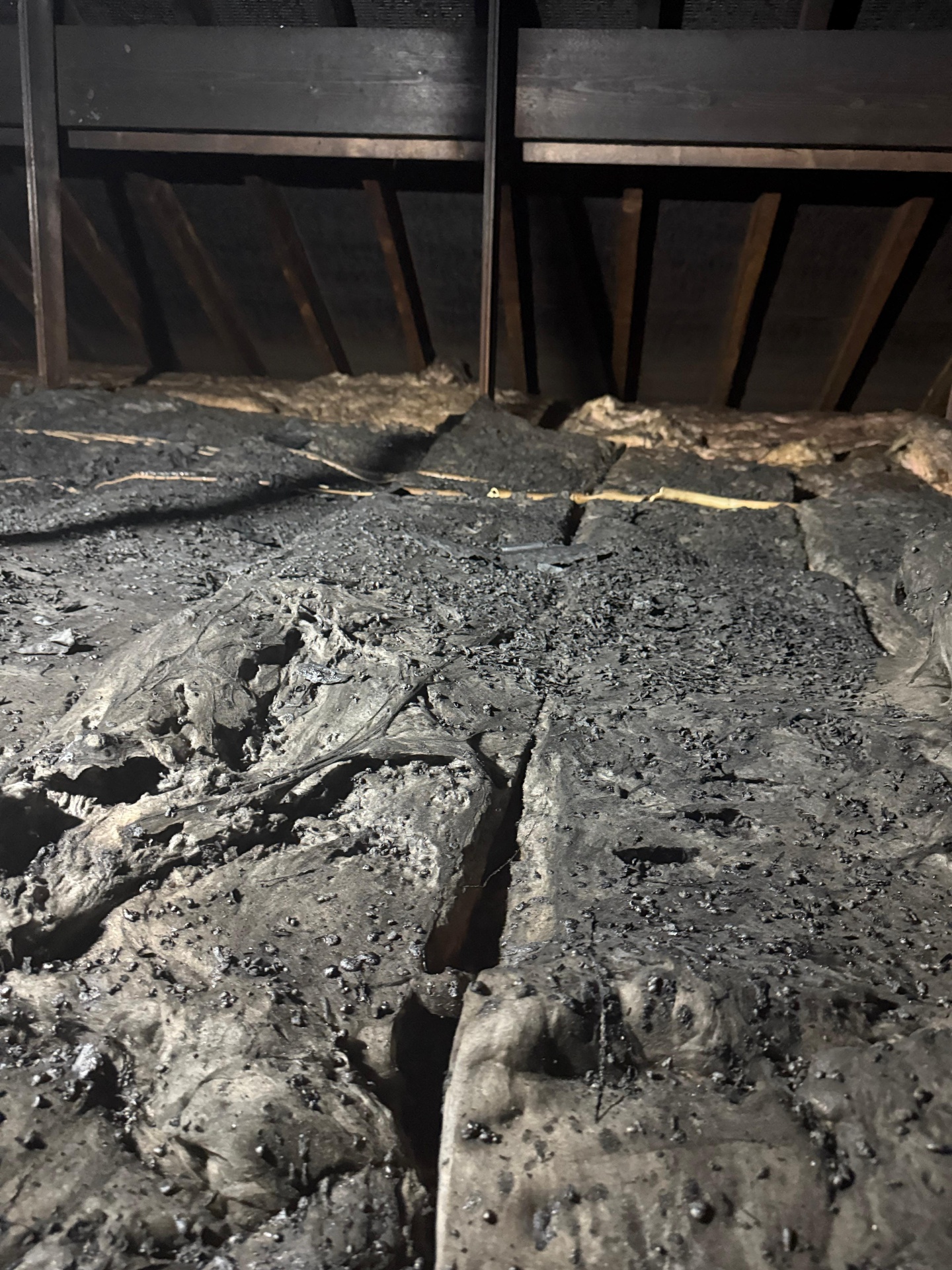 Attic Clearance clearance project by Marsh Environmental — photo 10