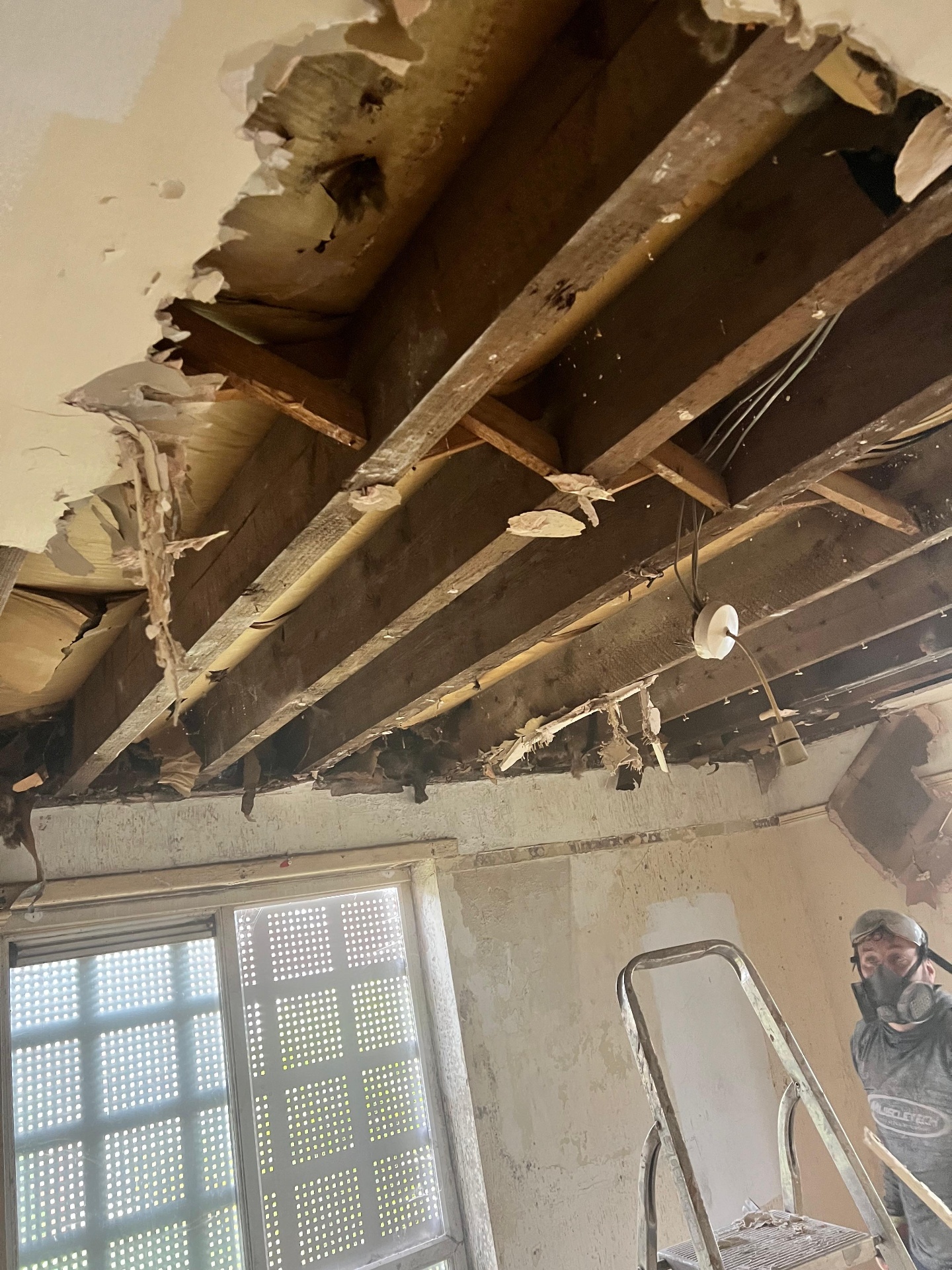 Attic Clearance clearance project by Marsh Environmental — photo 4