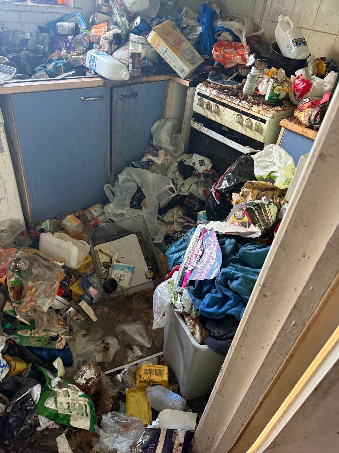 Hoarders clearance project by Marsh Environmental — photo 7